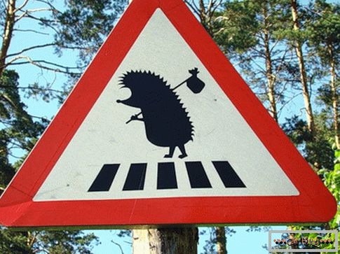 Schwedisches Straßenschild