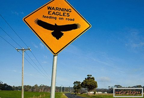 Warnung vor der Möglichkeit, Adler auf der Straße zu treffen